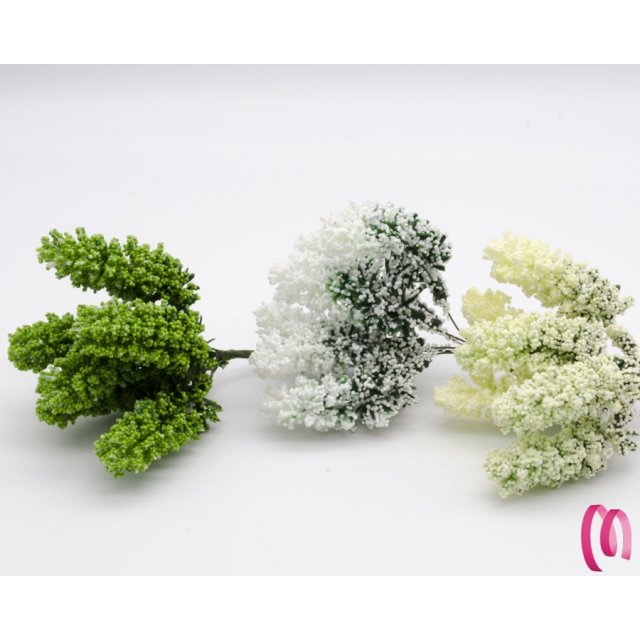Fiore Pistilli Nebbiolina in confezione da 36 pezzi